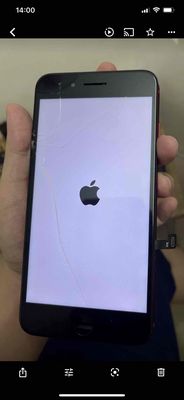 Màn hình iphone 7 plus 8 plus bể kiếnlên đẹp cảmok. Mua bán Linh kiện (RAM, Card...) tại Quận Tân Phú Tp Hồ Chí Minh được đăng bởi Min Min