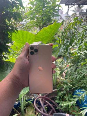 Apple iPhone 11 Pro Max 64GB Vàng Đã sử dụng