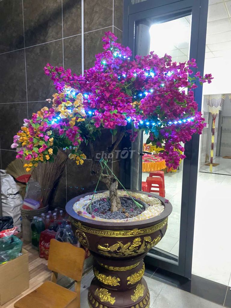 Cần bán chậu tròn 50cm như hình 180k