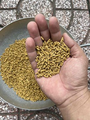 thức ăn cho gà. Mua bán Phụ kiện, Thức ăn, Dịch vụ tại Huyện Long Hồ Vĩnh Long được đăng bởi hien