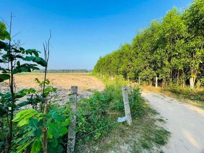 bán đất Chào đón 30/4 giá giảm mạnh. Mua bán đất tại Huyện Vân Canh Bình Định được đăng bởi Chùa Hạnh Xa 