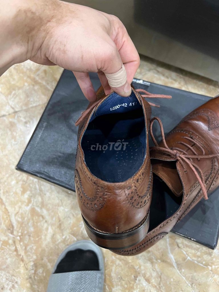 giày oxford wingtip alessandro luigi sỉze 41