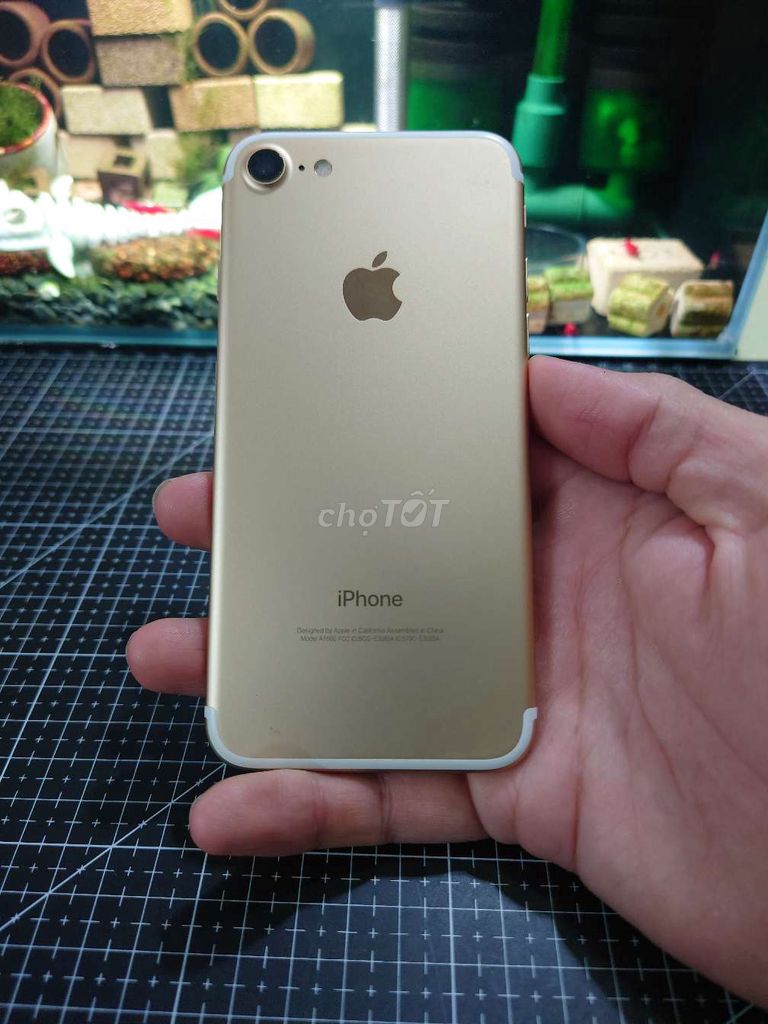 Apple iPhone 7 32GB Vàng 98%. Mua bán Điện thoại tại Quận Bình Thạnh Tp Hồ Chí Minh được đăng bởi Phùng Ngọc Vĩ hình 1