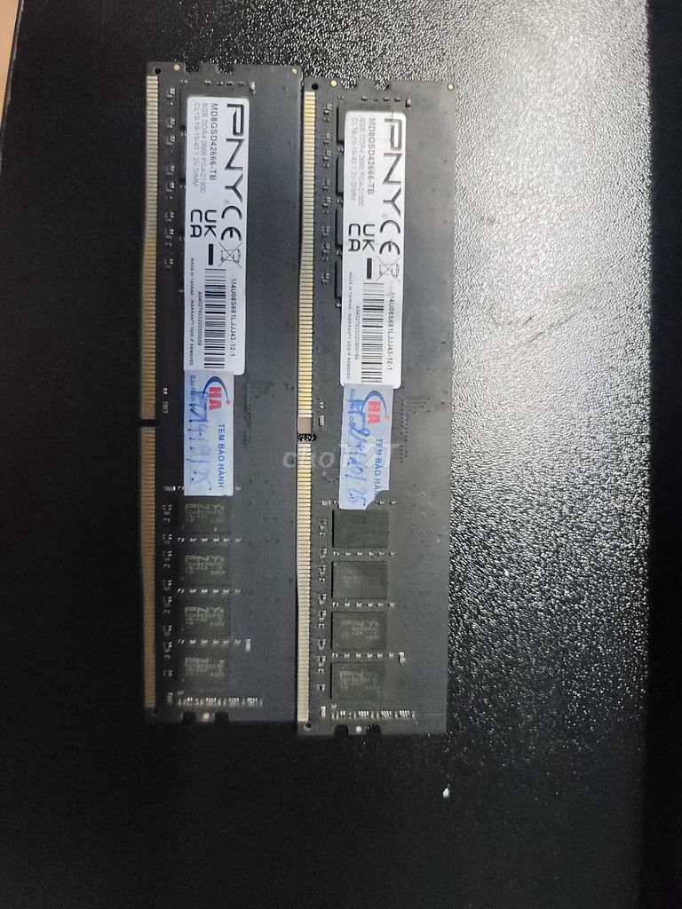 Ram PNY 8G/2666/D4