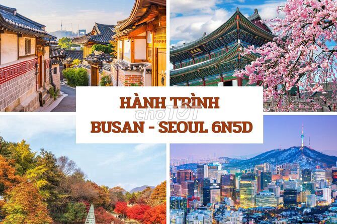 TOUR BUSAN - DAEGU - SEOUL 6N5Đ VÀ 4N5Đ