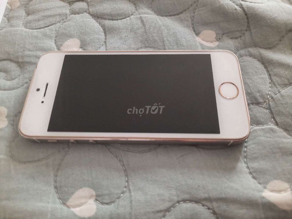Apple iPhone 5s Vàng hồng Đã sử dụng. Mua bán Điện thoại tại Quận 12 Tp Hồ Chí Minh được đăng bởi Bảo  hình 1