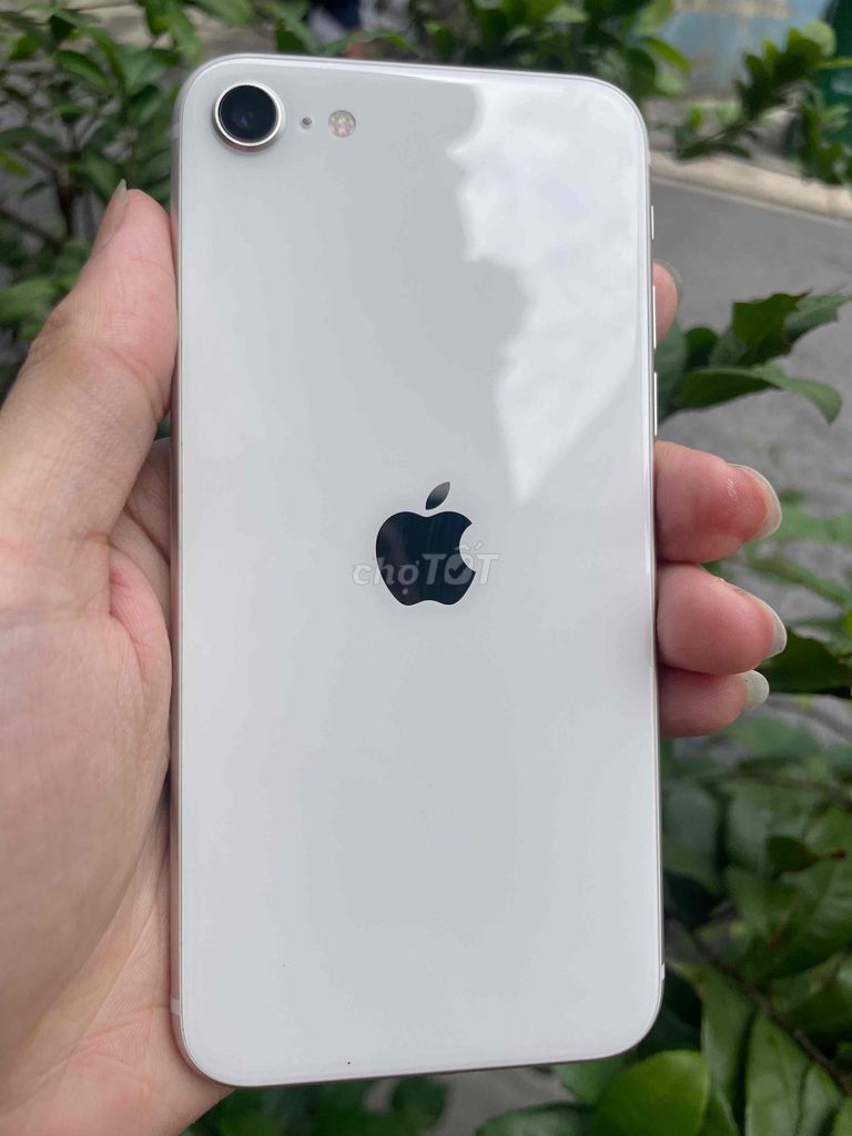 iPhone SE 3 2022 Trắng và lần sạc. Mua bán Điện thoại tại Quận Tân Bình Tp Hồ Chí Minh được đăng bởi Trần Gia Hưng hình 1