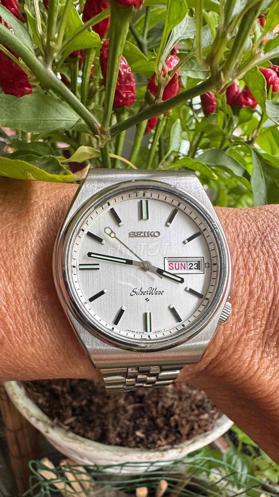 Seiko sóng bạc Automatic