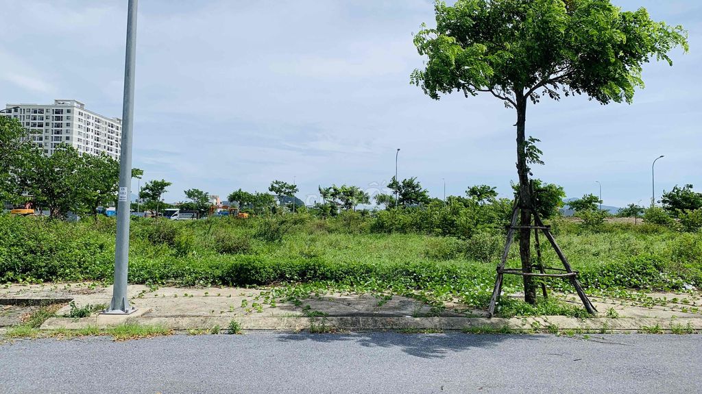 🌟 BÁN LÔ ĐẤT ĐẸP – FPT CITY ĐÀ NẴNG – GIÁ TỐT CHÍNH CHỦ 🌟. Mua bán đất tại Quận Ngũ Hành Sơn Đà Nẵng được đăng bởi Trần Thị Tiên hình 1