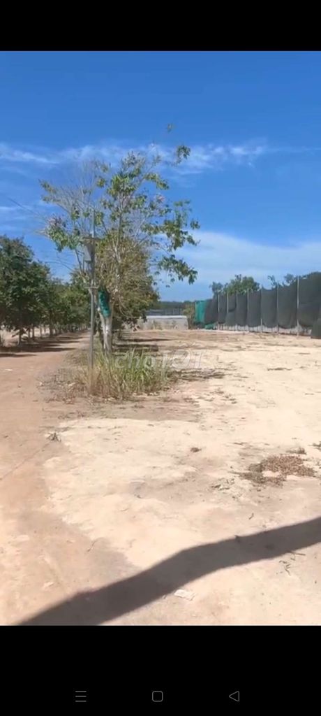 BÁN 5HA ĐẤT VƯỜN