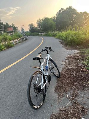 Xe đạp thể thao khung nhôm Trắng. Mua bán Xe đạp tại   được đăng bởi Mr sang