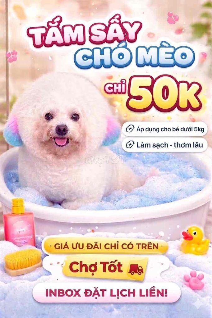 Tắm sấy thú cưng Chó Mèo. Mua bán Phụ kiện, Thức ăn, Dịch vụ tại Huyện Hóc Môn Tp Hồ Chí Minh được đăng bởi Kawaii Pet hình 1