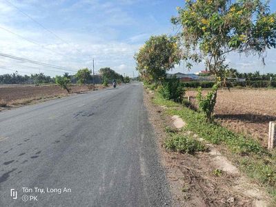 Đất thổ mặt tiền nhựa Cao Thị Mai - Đất đẹp giá tốt. Mua bán đất tại Huyện Tân Trụ Long An được đăng bởi Nhân BĐS