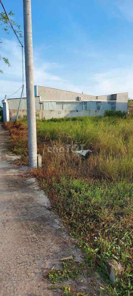 Bán đất thổ cư Cần Giuộc