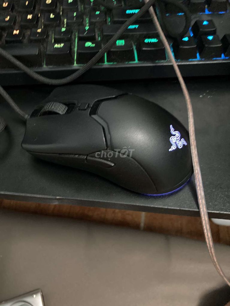 Chuột Razer Viper Mini lỗi. Mua bán Phụ kiện (Màn hình, Chuột...) tại Quận Bình Thạnh Tp Hồ Chí Minh được đăng bởi Kiệt Phạm hình 1