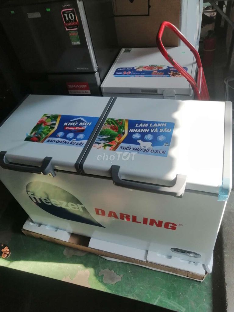 Tủ đông Darling 360L Trắng. Mua bán Tủ lạnh tại Thành phố Đồng Xoài Bình Phước được đăng bởi thành hình 1