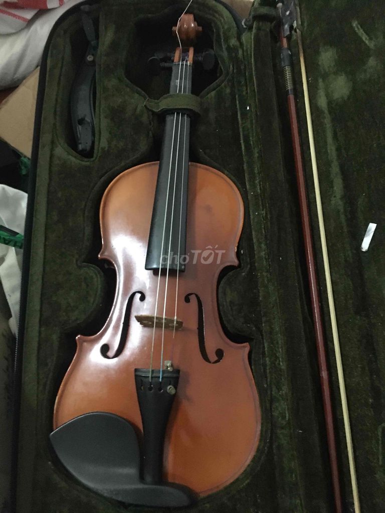 violin ARTICLE MV007 3/4