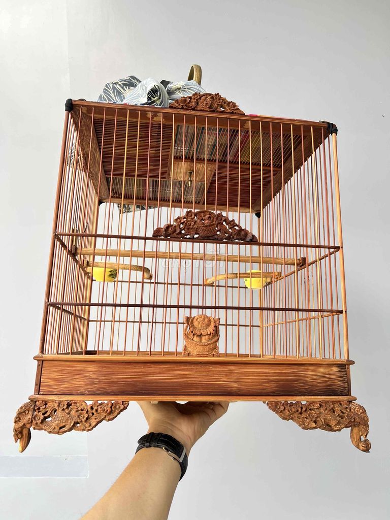 Lồng Chim Chào Mào. Mua bán Phụ kiện, Thức ăn, Dịch vụ tại Quận 5 Tp Hồ Chí Minh được đăng bởi Giàng A Tắc hình 1