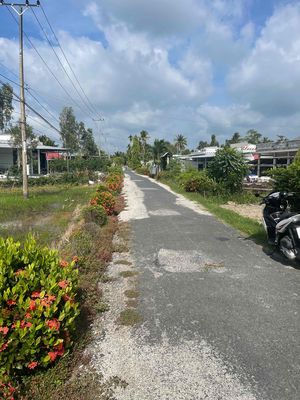 bán đất cây lâu năm và đất ruộng