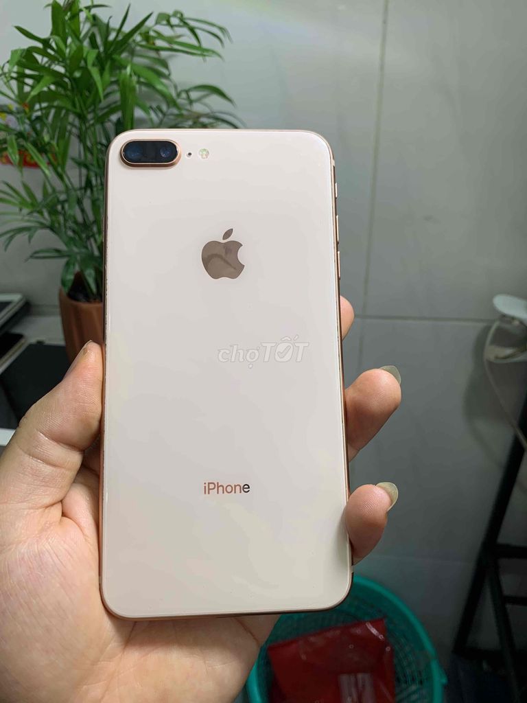 iPhone 8 plus 64GB Quốc tế icloud 9 chủ bao reset