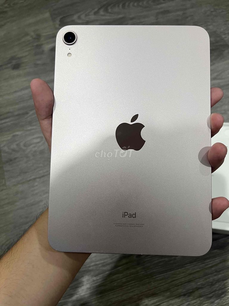 iPad Mini 6 99% hồng 64GB wifi zin all