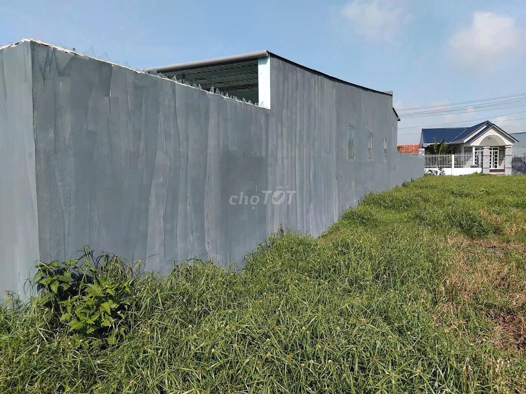 ĐẤT GIÁ RẺ 430 TRIỆU SỔ HỒNG RIÊNG SỞ HỮU NGAY ĐẤT ĐỨC HÒA LONG AN