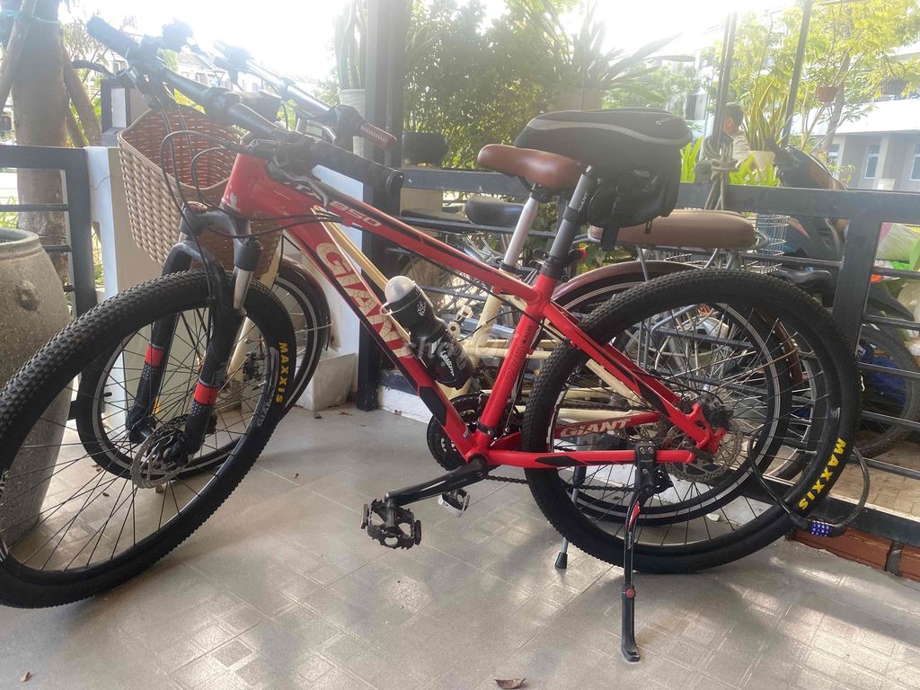 Cần bán xe đạp. Mua bán Xe đạp tại Thành phố Huế Thừa Thiên Huế được đăng bởi Quốc Long hình 2