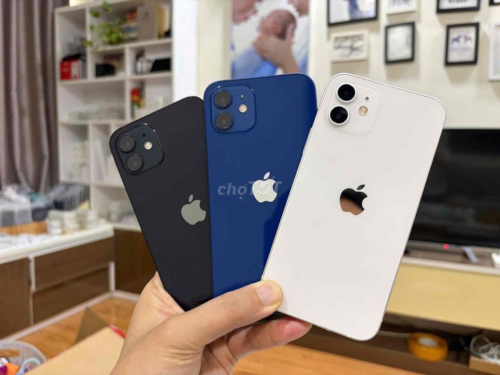 iPhone 12 64 128G Trắng 99 Keng APPLE. Mua bán Điện thoại tại Quận Thanh Xuân Hà Nội được đăng bởi Nguyễn Huy Dũng hình 1