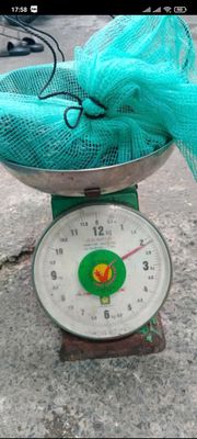 Vện số kí như hình. Mua bán Thú cưng khác tại Thành phố Thủ Đức Tp Hồ Chí Minh được đăng bởi Tuấn Trương