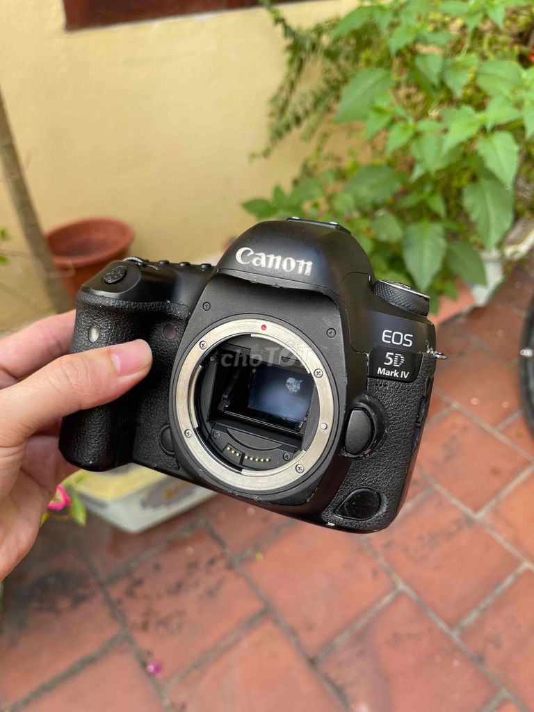 Body Máy ảnh Canon 5D Mark IV Đen. Mua bán Máy ảnh, Máy quay tại Thành phố Bắc Ninh Bắc Ninh được đăng bởi Sơn hình 1