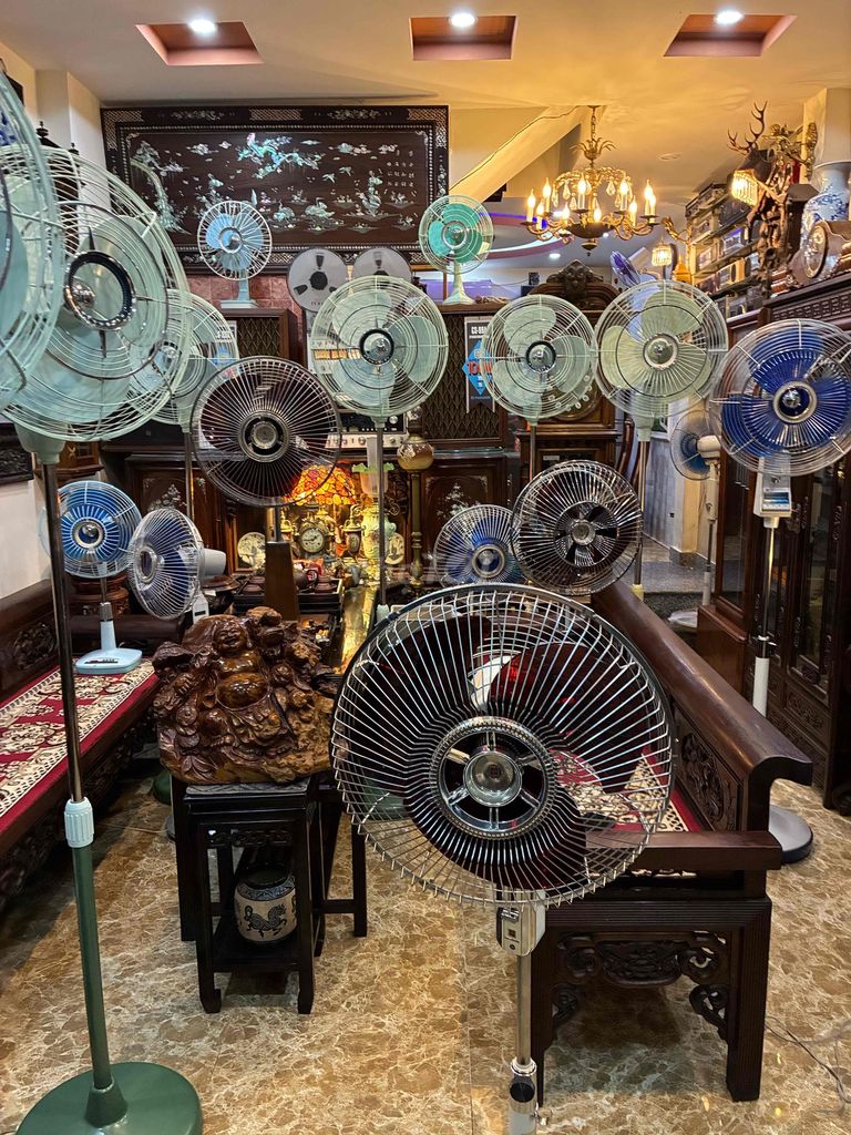 Quạt cây Nhật Bản 2m Nhiều màu. Mua bán Quạt tại Quận Ngô Quyền Hải Phòng được đăng bởi Hoàng lan hương hình 1