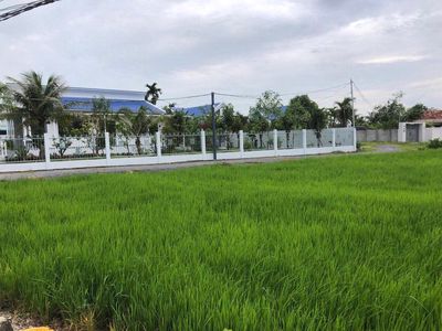 CHÍNH CHỦ kẹt tiền bán nền thổ 100m2, Cần Đước, Long An. Mua bán đất tại Huyện Cần Đước Long An được đăng bởi BÙI THÀNH NHÂN