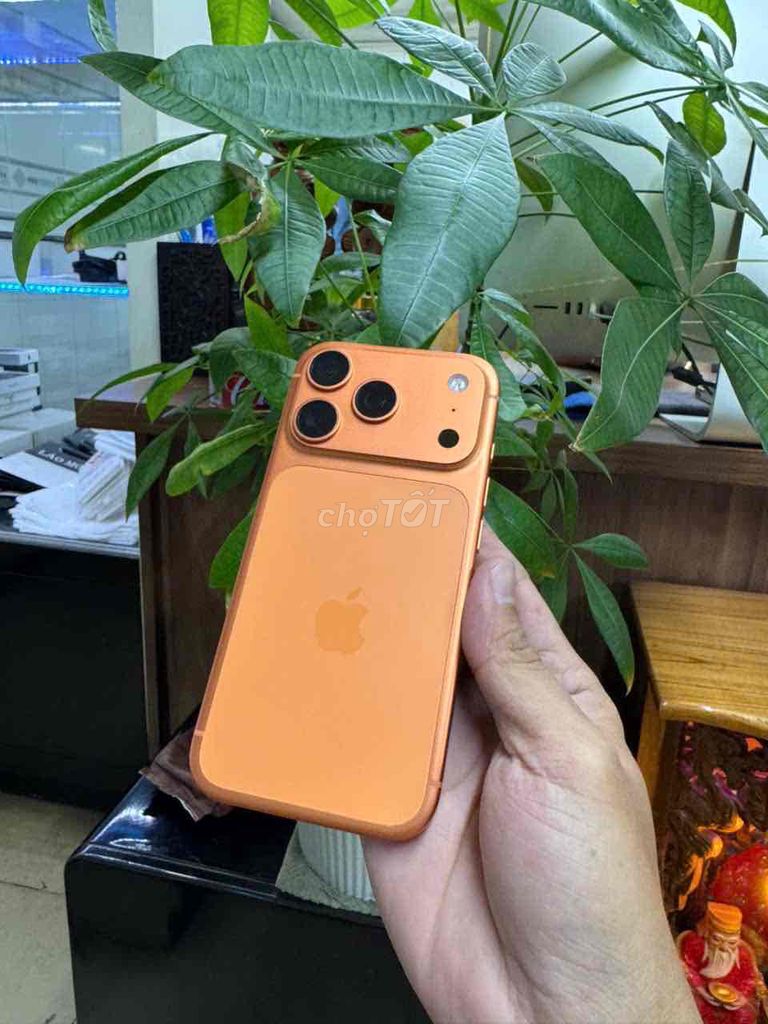 iPhone 17 Pro 512GB Cam Đã dùng. Mua bán Điện thoại tại Quận 7 Tp Hồ Chí Minh được đăng bởi mrlao hình 1