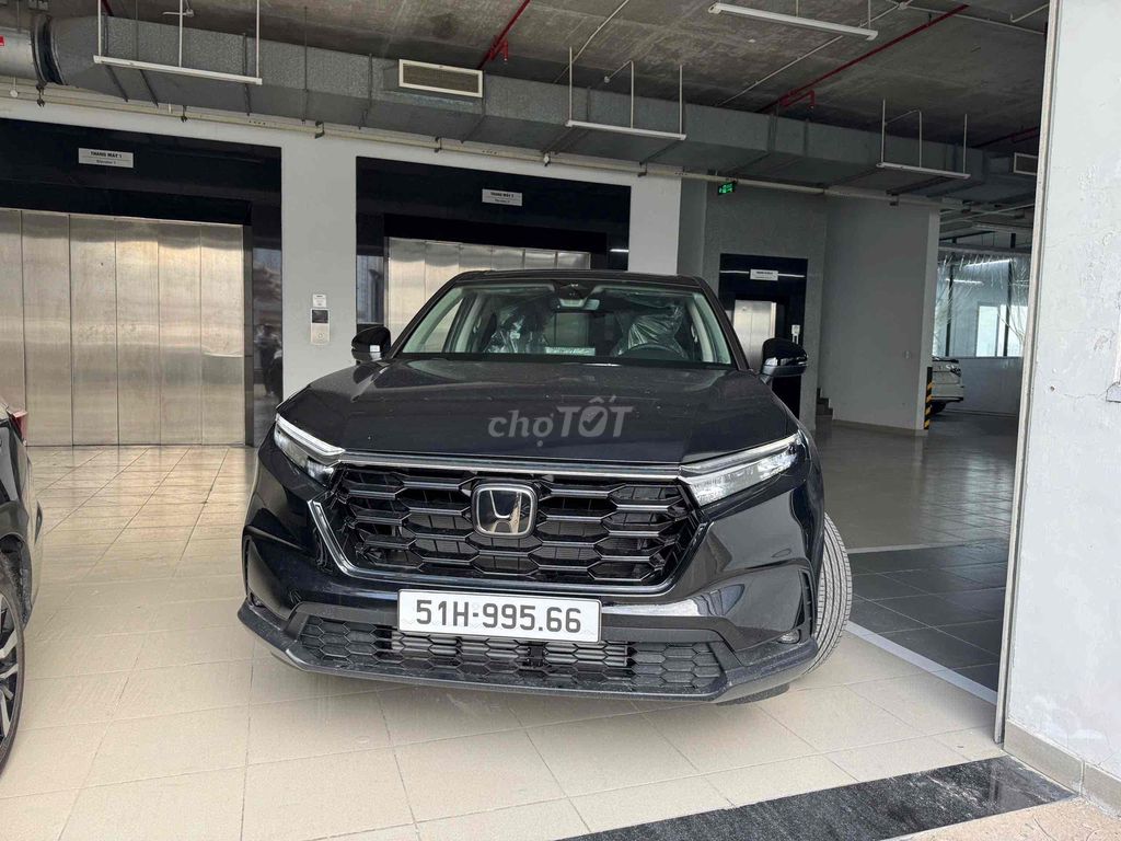 Ảnh số 2