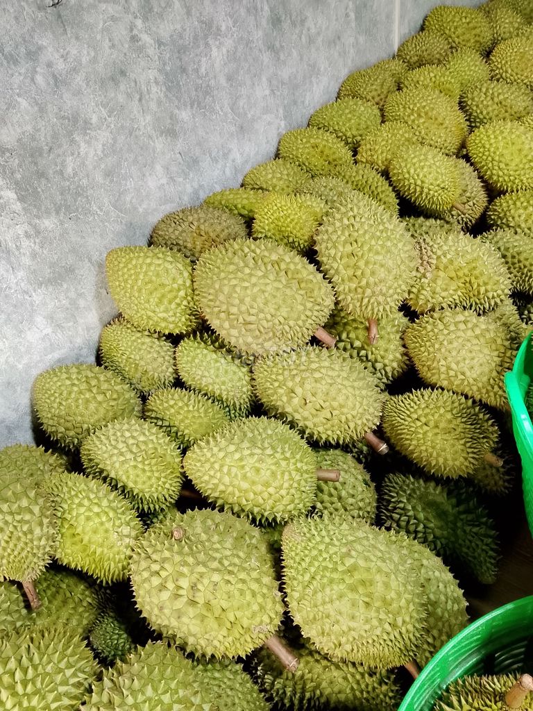 Sầu riêng 6 AB tại vườn. Mua bán Đồ ăn, thực phẩm và các loại khác tại Quận Cái Răng Cần Thơ được đăng bởi Hà Thế Nguyên hình 1