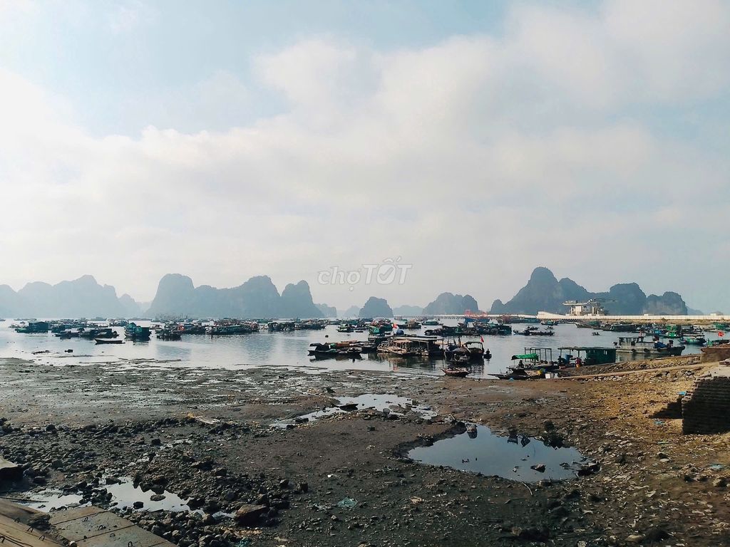 Hải sản chợ đầu mối QN bán tại HN (TƯƠI, GIÁ TỐT). Mua bán Đồ ăn, thực phẩm và các loại khác tại Quận Đống Đa Hà Nội được đăng bởi Nhân sự hình 1