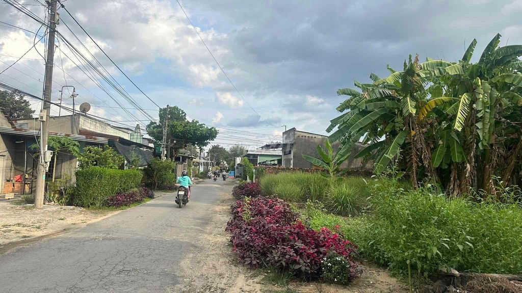 Siêu phẩm nhà mặt tiền đường chợ Ngọc Lâm 26*17.5. Mua bán đất tại Huyện Tân Phú Đồng Nai được đăng bởi Trần Dung hình 2
