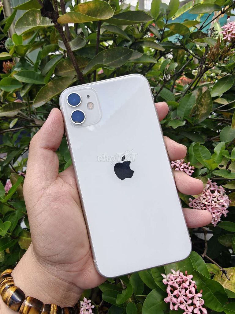 Iohone 11 trắng zin. Mua bán Điện thoại tại Huyện Châu Thành Sóc Trăng được đăng bởi Nhựt Trang hình 1