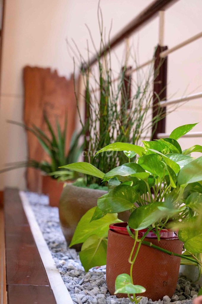 Spacious furnished 4-bedroom house off Lê Hữu Trác — photo 6
