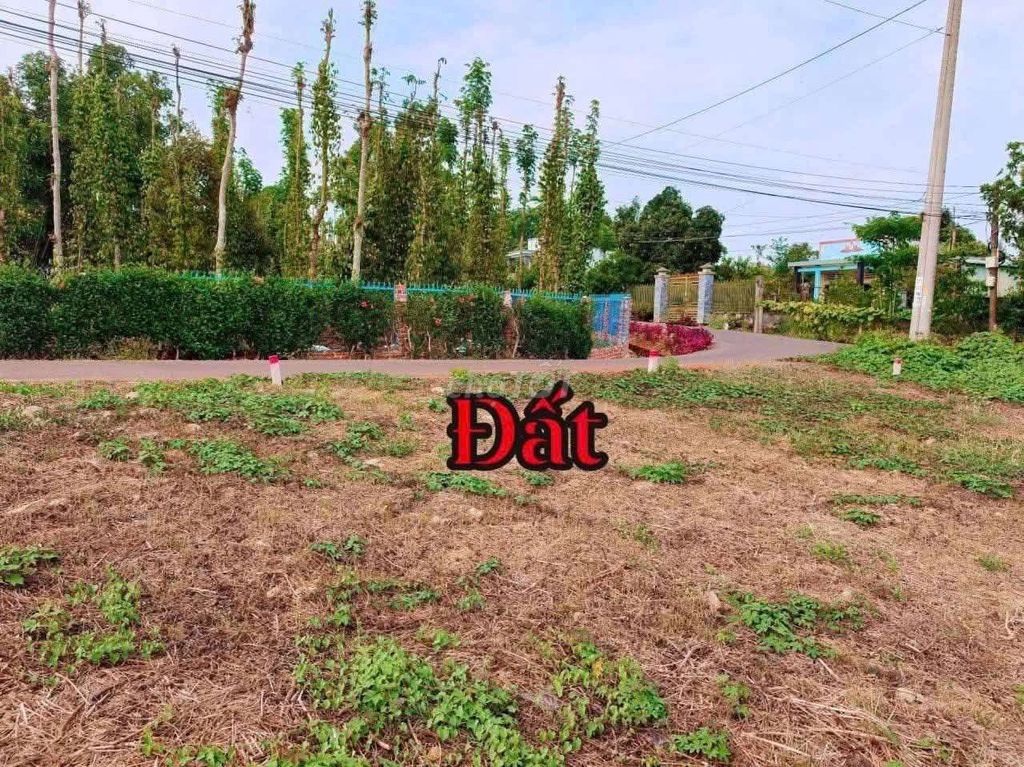 200m2👉giá xả lỗ 550tr  Kim Long TPHCM 