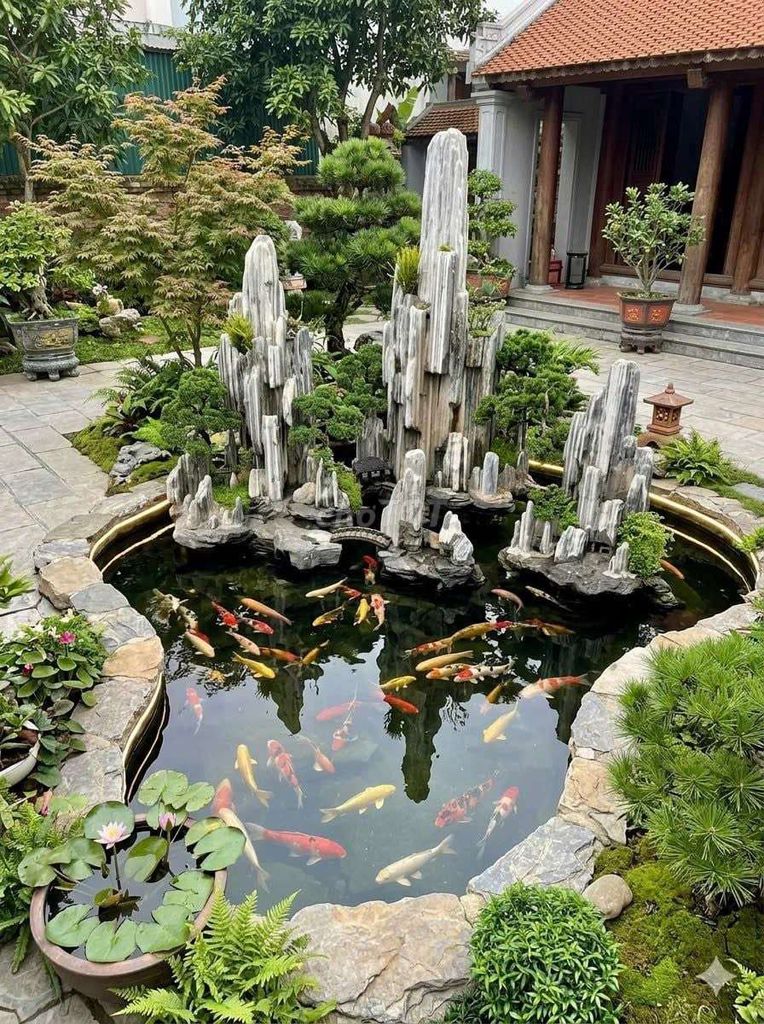 Dịch vụ đắp phù điêu trang trí biệt thự. Mua bán Cây cảnh, đồ trang trí tại Quận Ninh Kiều Cần Thơ được đăng bởi Nguyễn Châu hình 1