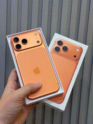 17 Pro Max 256GB Cam VN Pin 100 sạc 70L Bh 2/2027