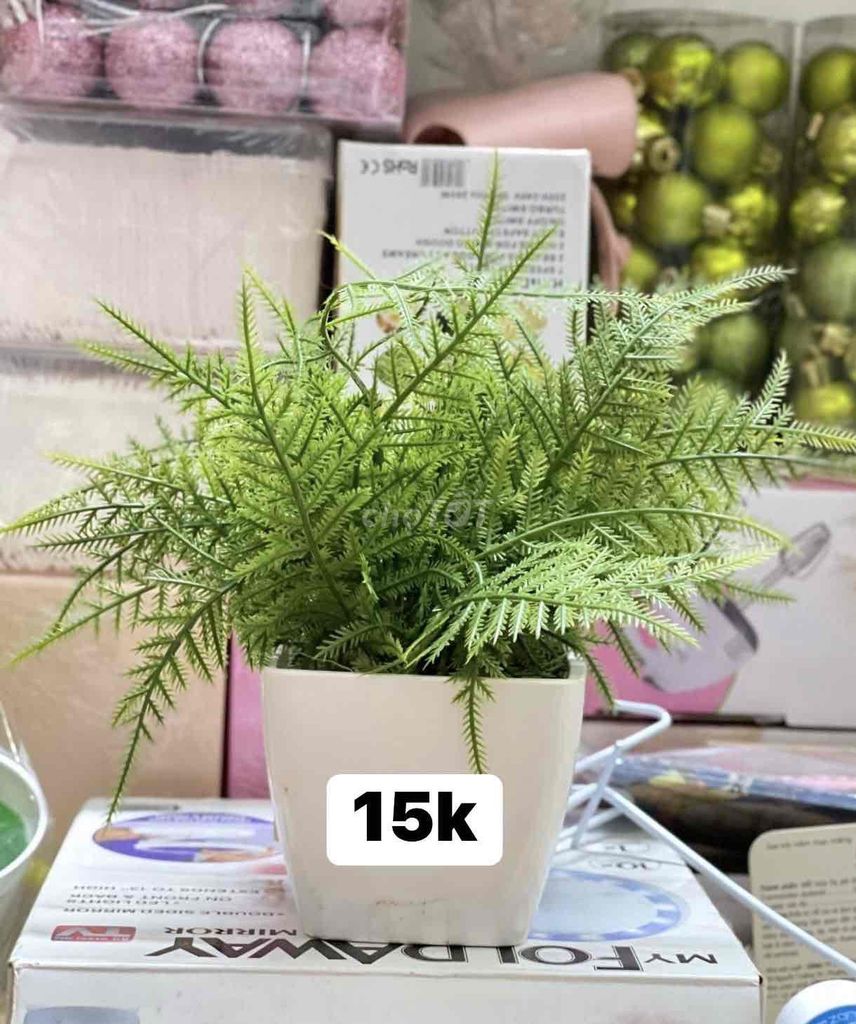 Cây cảnh giả nhựa trang trí nhà cửa. Mua bán Cây cảnh, đồ trang trí tại Quận 4 Tp Hồ Chí Minh được đăng bởi Ý nhi hình 1