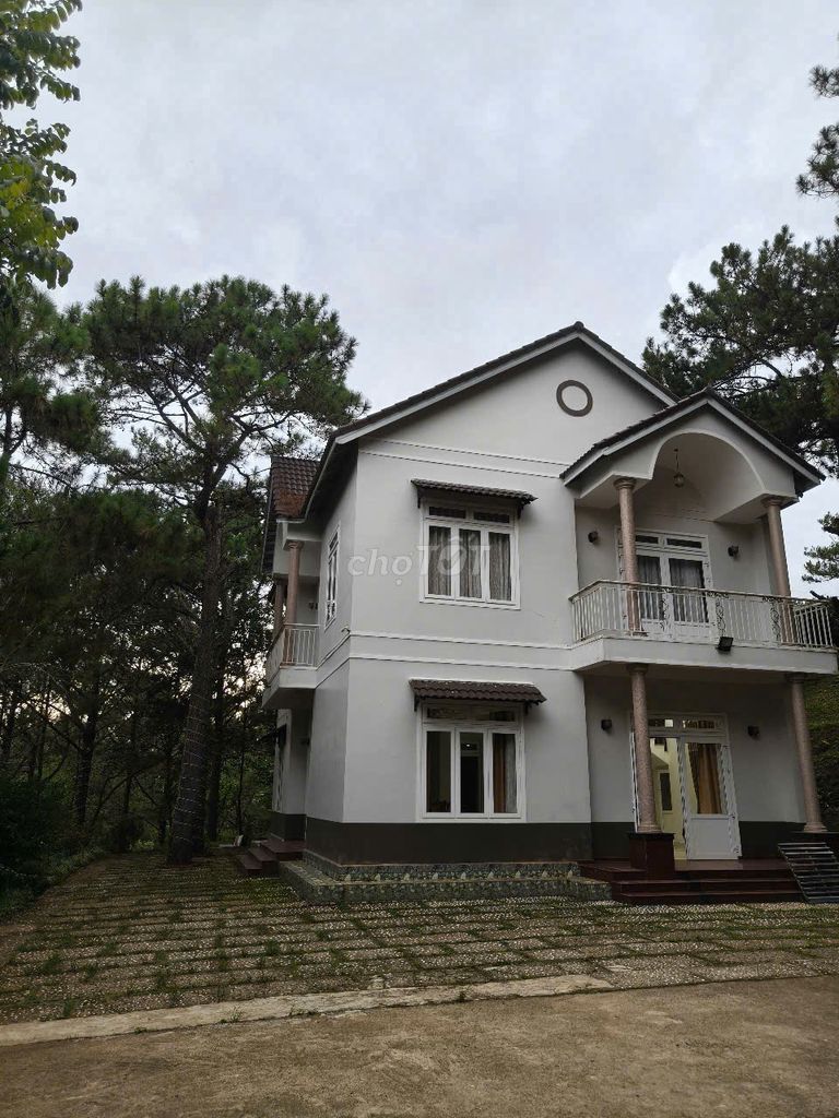 Cho thuê villa 5 phòng phường 8 đà lạt 25 triệu/tháng nọi thất đầy đủ. Cho thuê nhà ở tại Thành phố Đà Lạt Lâm Đồng được đăng bởi nguyễn thị chúc  hình 1