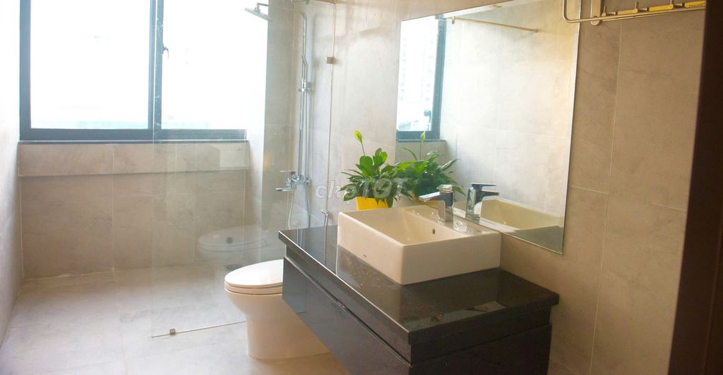 Camellia villa with 8+ bedrooms near My Khe beach — photo 11