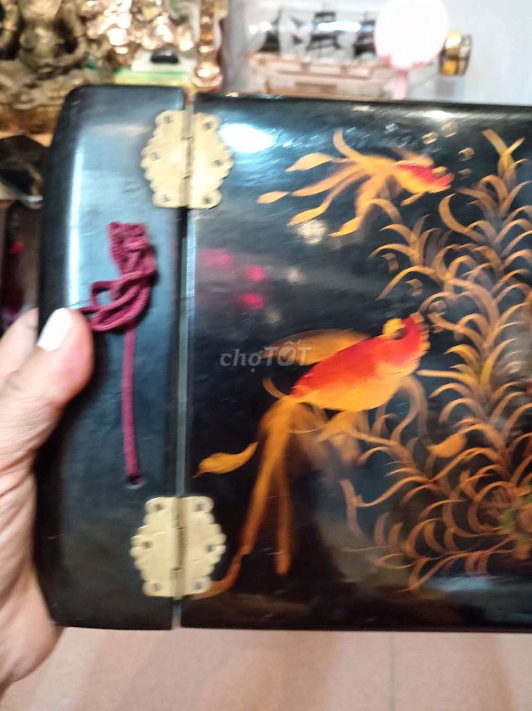 Album  sơn mài đen cổ điển còn rất đẹp. Mua bán Đồ sưu tầm, đồ cổ tại Quận Hai Bà Trưng Hà Nội được đăng bởi Lê Nga đồ xưa hình 1