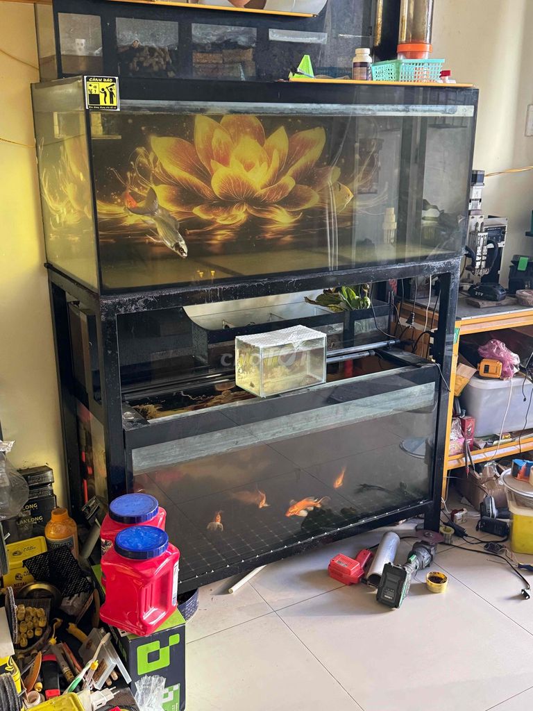Bể cá cảnh Kính Kim loại Đen 1m2x55x60. Mua bán Phụ kiện, Thức ăn, Dịch vụ tại Quận Bình Tân Tp Hồ Chí Minh được đăng bởi lê văn tính hình 1