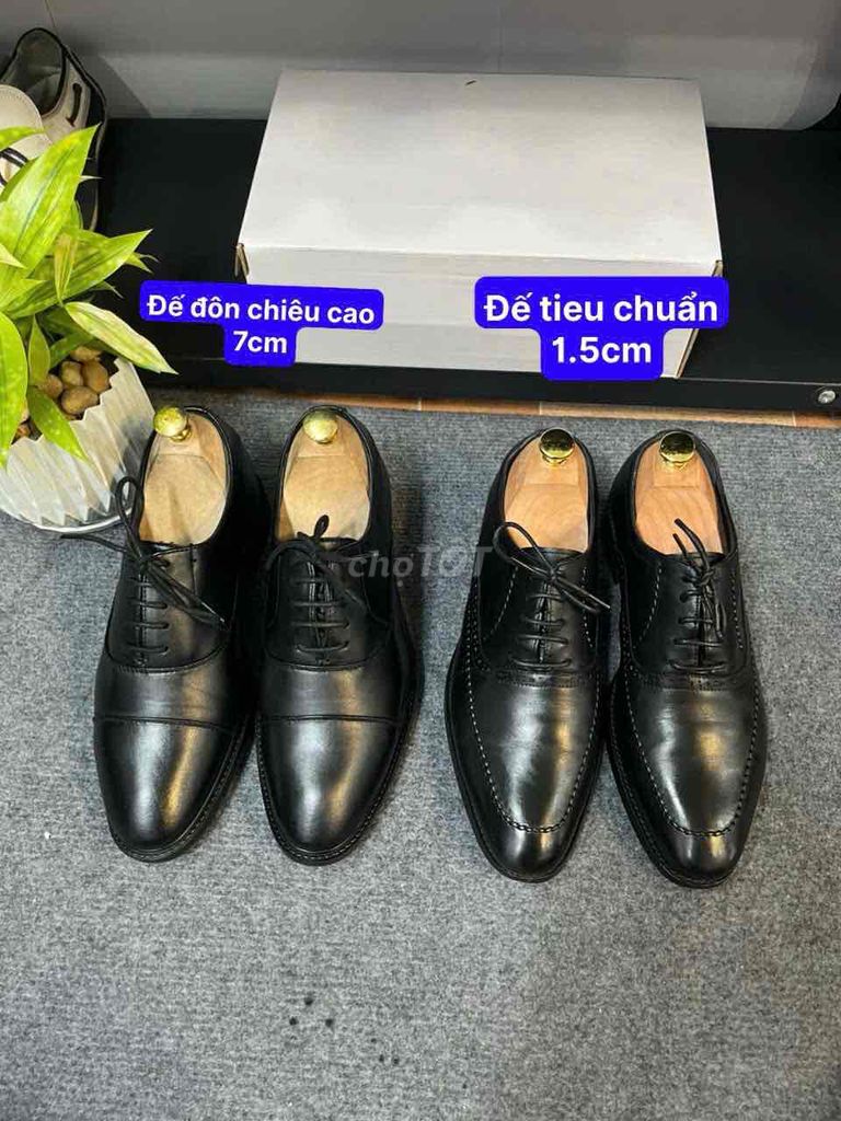 Giày tây nam Derby Đen size 40 đế 7cm. Mua bán Giày dép tại Thành phố Phú Quốc Kiên Giang được đăng bởi NGUYÊN VAN Y hình 1