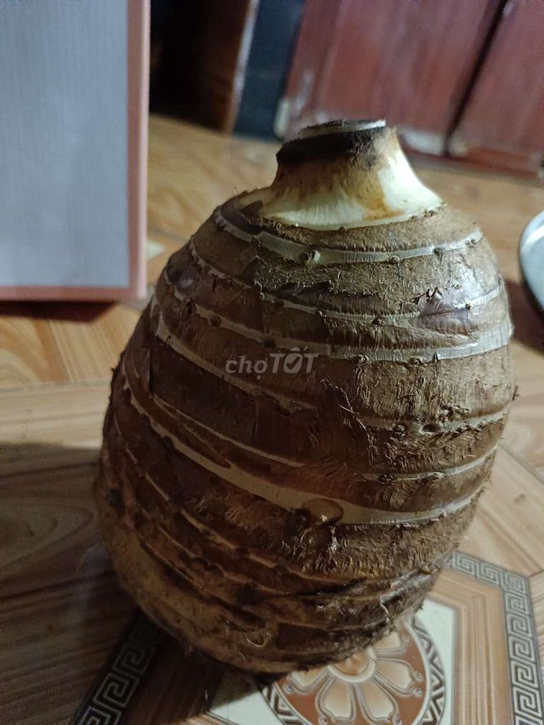 Khoai môn. Mua bán Đồ ăn, thực phẩm và các loại khác tại Quận Bình Thạnh Tp Hồ Chí Minh được đăng bởi Hoa Ngọc Lan hình 1