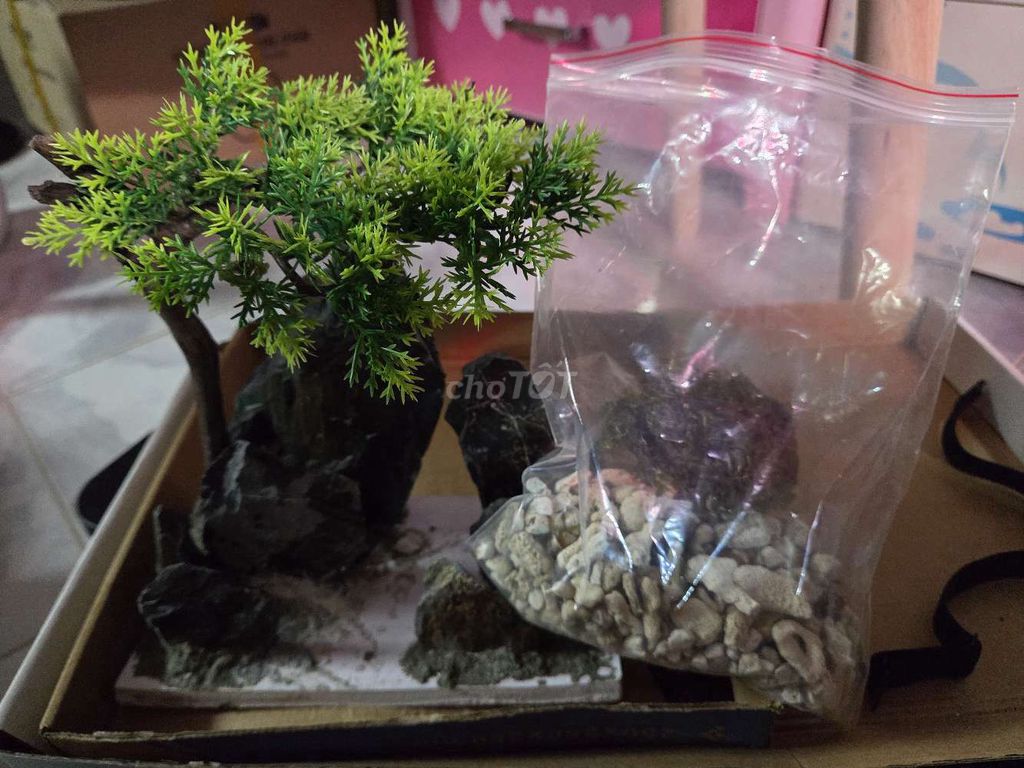 Layout hồ cá 25-40cm lọc rêu. Mua bán Phụ kiện, Thức ăn, Dịch vụ tại Quận 5 Tp Hồ Chí Minh được đăng bởi Gia Hân hình 1